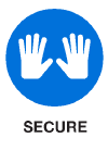 Blue Secure Icon
